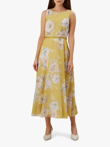 Hobbs carly dress midi - dress, floral